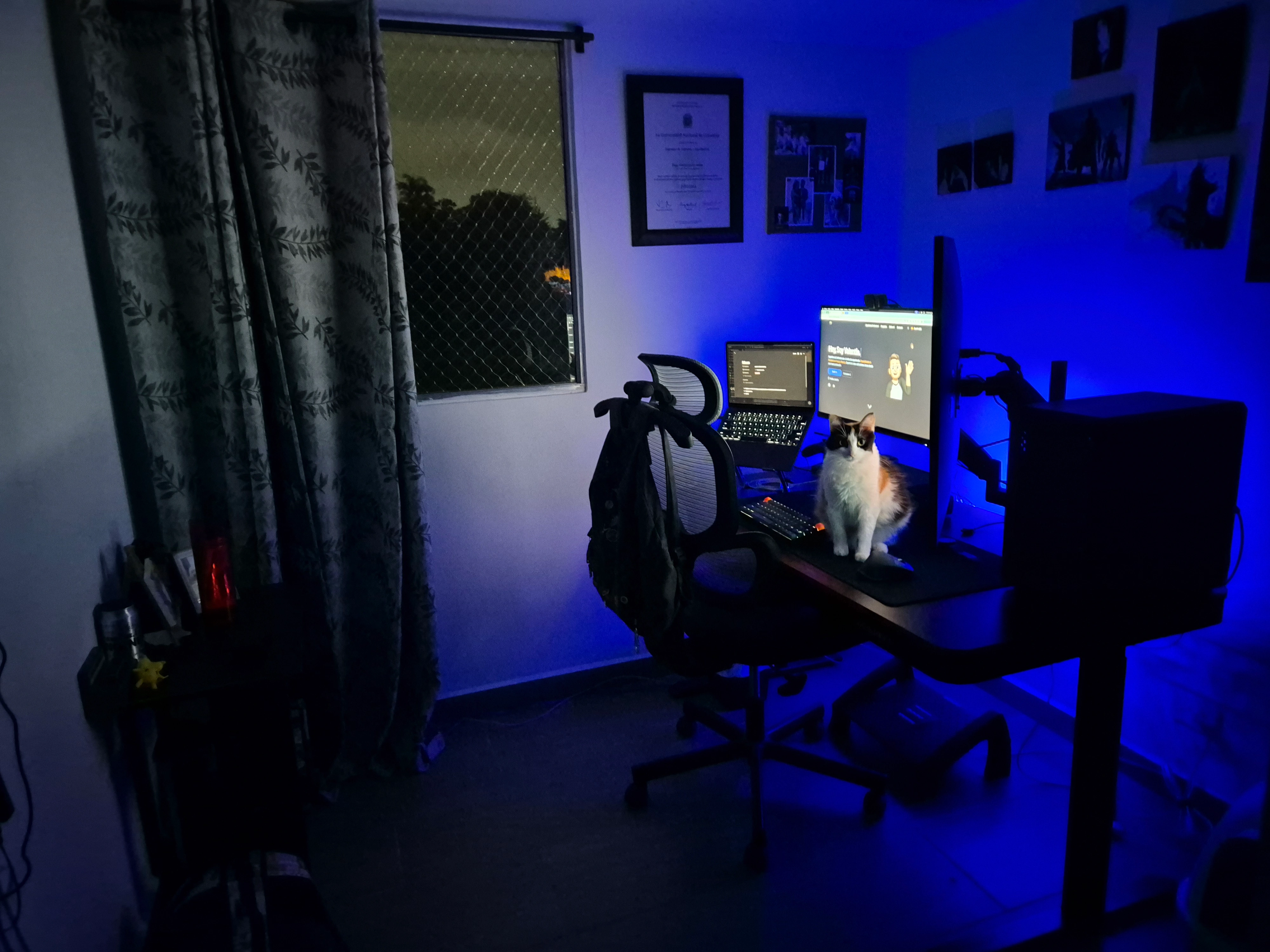 Setup